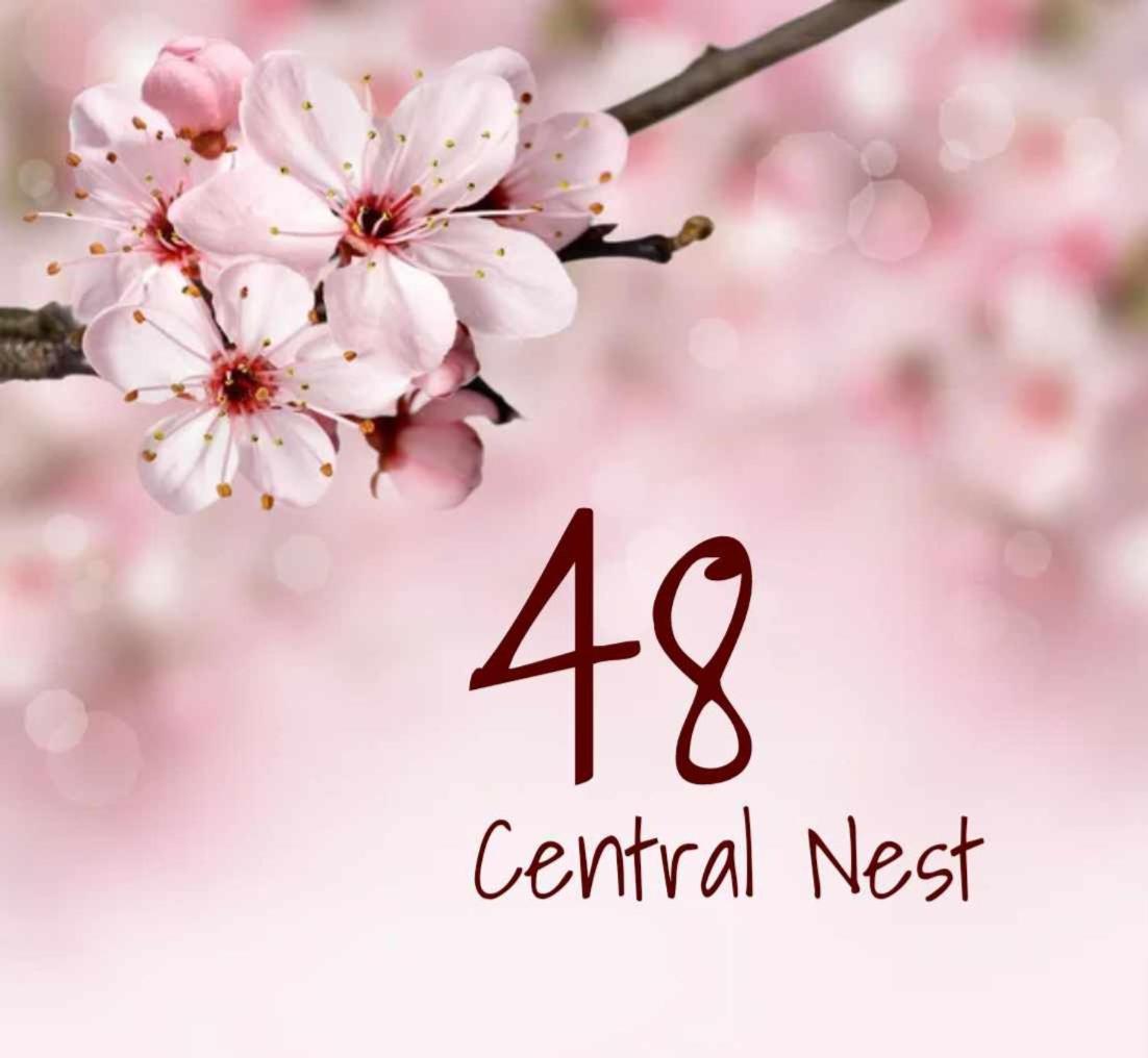 48 Central Nest 볼로스 외부 사진